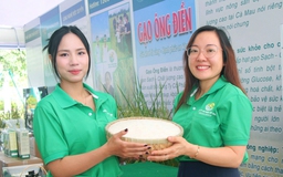 Lần đầu tiên tổ chức cuộc thi gạo ngon Đồng bằng sông Cửu Long