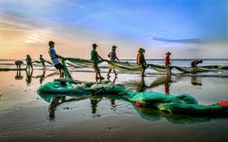 'Đi thành phố' - nhịp sống lâu đời của người xứ biển