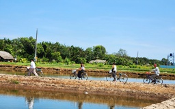 Cồn Chim, ốc đảo xinh đẹp vùng sông nước phương Nam