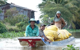 Gạo Việt Nam đang 'hot' trở lại, vì sao?