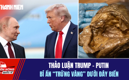 Tiêu điểm quốc tế 1.5: Thảo luận Trump - Putin | Bí ẩn 'trứng vàng' dưới đáy biển