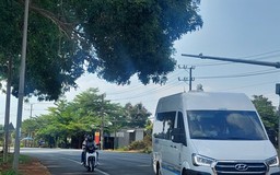 Tán cây che tầm nhìn