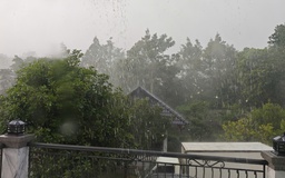 Bất ngờ 'mưa vàng' giải nhiệt một số tỉnh phía Nam