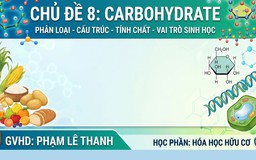 BÍ QUYẾT ÔN THI THPT 2026 | Môn hóa | Chuyên đề 8 | Carbohydrate - Phân loại, cấu trúc, vai trò sinh học