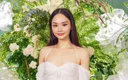 Giám đốc Công an Hải Phòng chỉ đạo điều tra vụ Miu Lê dương tính với ma túy