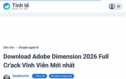 Triệt xóa nạn xâm phạm bản quyền trên mạng: Nơi khắc phục, nơi buông lỏng