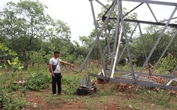 Đồng Nai: Trụ điện 110 kV không có đai ốc ngã đổ gây bất an