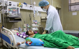 Nữ sinh nguy kịch sau khi bị ong vò vẽ đốt hơn 70 vết