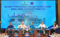 TP.HCM có nhiều lợi thế phát triển 'hub' công nghiệp - năng lượng - dịch vụ cao