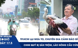 Xem nhanh 20h ngày 17.5: TP.HCM lại mưa to, chuyên gia cảnh báo | Chim quý bị săn trộm, lão nông cầu cứu