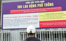 Thị trường lao động TP.HCM đang 'thừa cử nhân, thiếu lao động kỹ thuật'