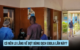 Có nên lo lắng về đợt bùng dịch Ebola lần này?
