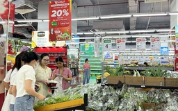 Báo Thanh Niên tổ chức Hội thảo 'Khơi thông sức mua, kích cầu tiêu dùng'