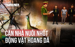 Bí mật 'kho' nuôi nhốt lậu nhiều động vật hoang dã quý hiếm
