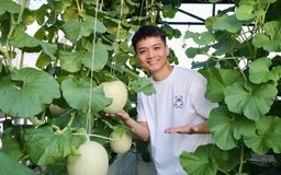 Mê tít khu vườn sân thượng giữa lòng thành phố của ông bố trẻ Mê tít khu vườn sân thượng giữa lòng thành phố của ông bố trẻ