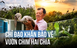 Vụ chủ vườn chim Hai Chìa kêu cứu: Chủ tịch UBND tỉnh Vĩnh Long chỉ đạo khẩn