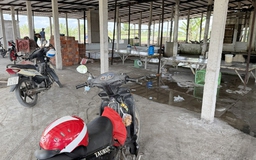 Lò giết mổ cạnh kho thuốc trừ sâu