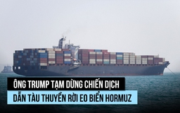 Ông Trump tạm dừng 'Dự án Tự do' dẫn đường rời eo biển Hormuz
