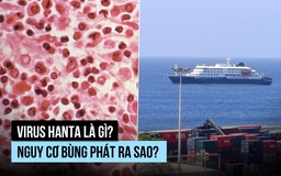 Virus hanta có nguy cơ lây từ người qua người không?