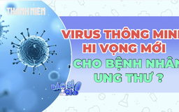 Virus 'thông minh' tiêu diệt ung thư, bảo vệ tế bào lành như thế nào?