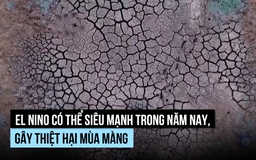 'Siêu El Nino' có xuất hiện trong năm nay?