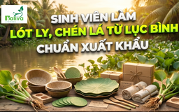 Cùng sống xanh số 147: Sinh viên khởi nghiệp - Biến phế phẩm lục bình thành dụng cụ ăn uống chất lượng châu Âu