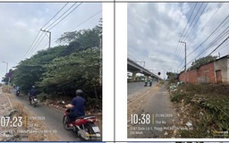Đã hỗ trợ cắt tỉa cây xanh sà ra đường