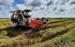 Đề xuất nhiều cơ chế phát triển 3 loại mô hình nông nghiệp ở Hà Nội