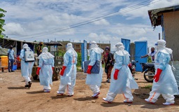 Ca nhiễm Ebola ở châu Phi tăng, Mỹ giục châu Âu siết đi lại
