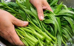 3 lợi ích sức khỏe ít người biết của rau muống