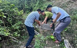 Đi làm đồng, giật mình phát hiện động vật quý hiếm nên báo công an