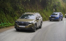 Subaru Forester tại Việt Nam không dính lỗi như thị trường Mỹ