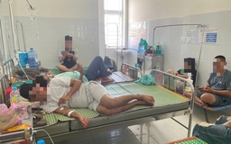 Vụ 124 người nghi ngộ độc bánh mì ở Quy Nhơn: Phát hiện vi khuẩn Salmonella