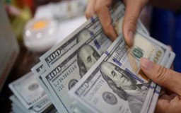 Giá USD hôm nay 16.6.2026: Đô tự do bật tăng