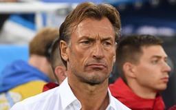 Nóng: Tunisia bổ nhiệm cựu HLV CLB Nam Định Herve Renard ngay sau trận thua Thụy Điển
