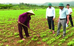 Ba Lòng khai mở tiềm năng kinh tế bằng những nghị quyết chuyên đề