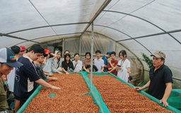 Làm du lịch từ những điều khác biệt: Kể chuyện Khe Sanh bằng cà phê