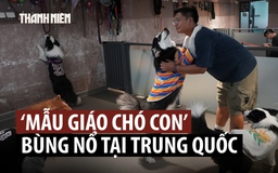 'Mẫu giáo cho cún' đắt khách tại Trung Quốc