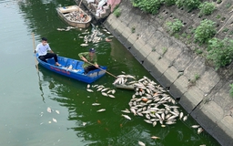 Rắc vi sinh tạo bọt khí cho hồ công viên Nghĩa Đô