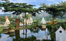 Mùa hè rực rỡ tại Mongo Land Đà Lạt