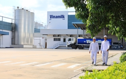 Vinamilk là doanh nghiệp sữa duy nhất của Việt Nam trong Fortune 500 Đông Nam Á