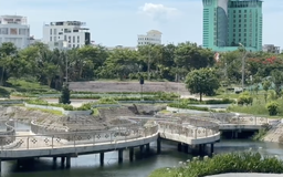 Rừng xanh trong phố Tuy Hòa