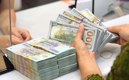 Giá USD hôm nay 19.6.2026: Đồng loạt tăng