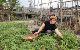 Cô giáo của những mầm xanh nơi đầu sóng