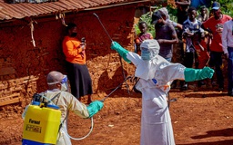 Hàng không quốc tế báo động khẩn về dịch Ebola