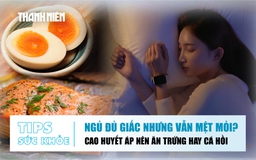 Bản tin sức khỏe 22.6: Ngủ đủ giấc nhưng vẫn mệt mỏi | Cao huyết áp nên chọn trứng hay cá hồi?