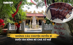 Những câu chuyện huyền bí dưới tán rừng Rú Chá xứ Huế