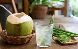 Nước ép nha đam hay nước dừa cấp nước tốt cho cơ thể?