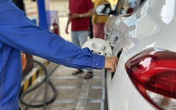 Giá xăng dầu hôm nay 23.6.2026: Quay đầu giảm 3%, kéo xăng trong nước giảm sâu?