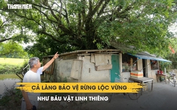 Ly kỳ ngôi làng Huế giữ rừng lộc vừng suốt hàng trăm năm: Ai chặt cây bị phạt nặng